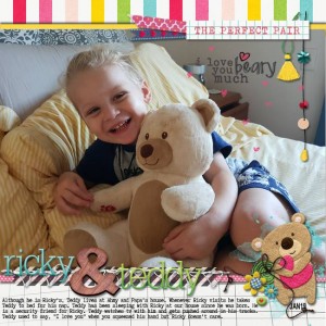 MOC7-20-teddy