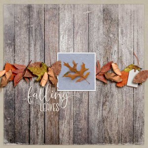 falling leaves