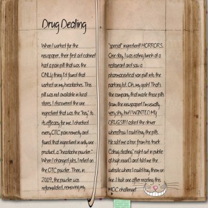 January-31-Traveler's-Notebook-+-Connections-Drug-Dealing