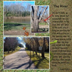 The River