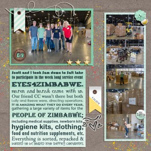 EYES4ZIMBABWE - MOC #22 - Subway Style Journaling