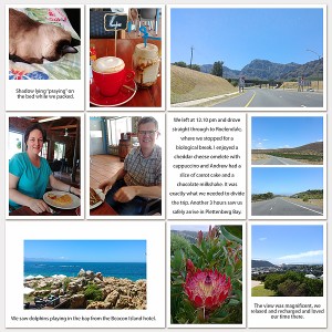 PlettenbergBay