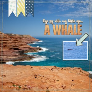 MOC #25 - Whale
