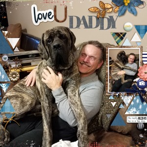 Lap dog