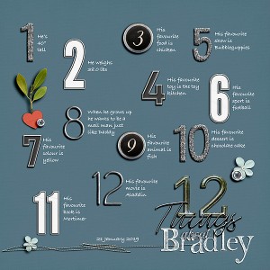 MOC7 Day 21 - 12 Things About Bradley