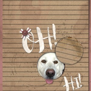 02-19_Scraplift-Angie4b1g_Nova-OH! HI!