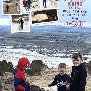02-19_HikeWithDogs