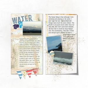 MOC7.31: Traveler's Notebook (Water)
