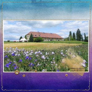 13jun25_irises1