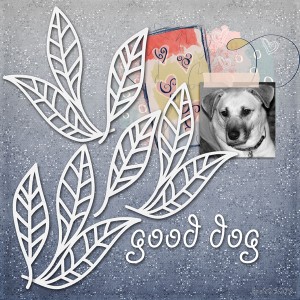 Feb_Inspiration_gooddog