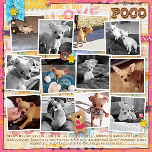 Poco pics