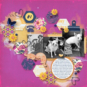 Petunia-trending