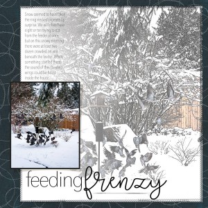 02-19_Feeding-Frenzy