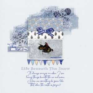 FEBRUARY SCRAPLIFT CHALLENGE