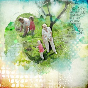 Families are like branches