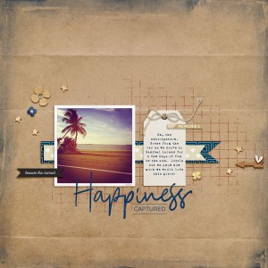 Happiness Captured