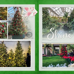 Longwood Gardens - More Trees