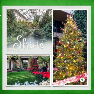Longwood Gardens - More Trees_right