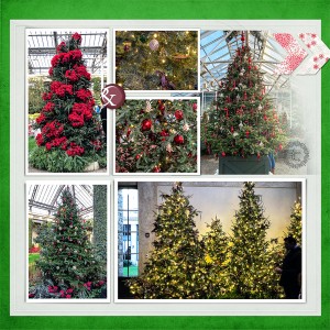 Longwood Gardens - More Trees_left