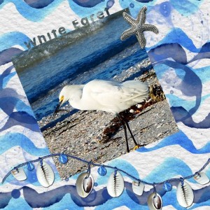 White Egret