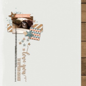 Feb2019-Scraplift