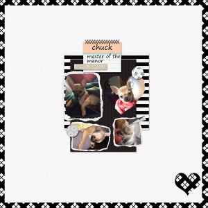 Sc_februarytemplatechallenge-chuck