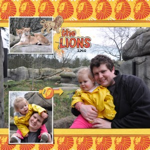 The LIONS