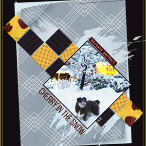 02-19_Diagonal_CherryInTheSnow