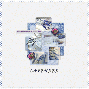 Lavender