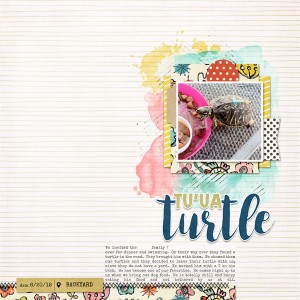 WEB 2018 06Turtle