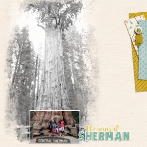 CT2019 02 2018 08 General Sherman