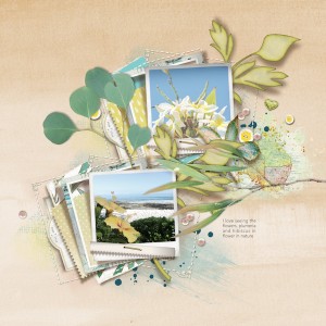 18mar_flowers