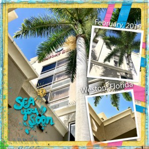 Sea You Soon