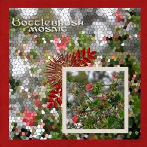 Kaagard_bottlebrushmosaic