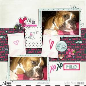XOXO