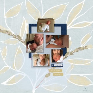 Magnus-newborn Feb template challenge