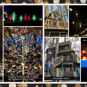 Longwood Gardens - Grotto, Treehouse, and more lights