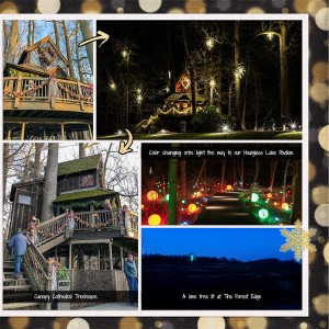 Longwood Gardens - Grotto, Treehouse, and more lights_right