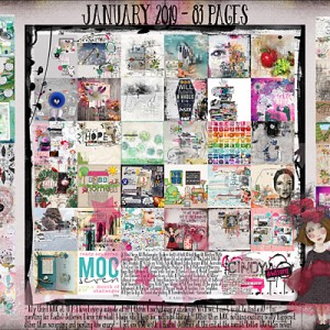 January 2019 - 83 pages