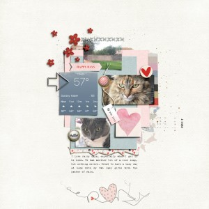 Feb2019TemplateChallenge-copy