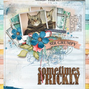 sometimes prickly