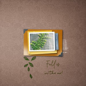 19-02_TLP_February-inspiration-Challenge-copy