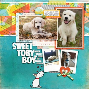 Sweet Toby Boy