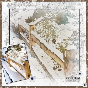 02-19_Walk-in-the-Neighborhood