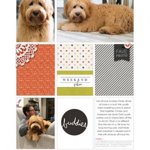 Paislee-FEBRUARYPROJECT2 - PLWK17R
