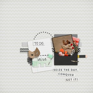 Seize The Day