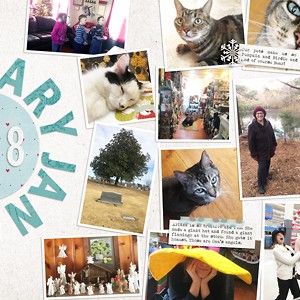 January Reflections 2018
