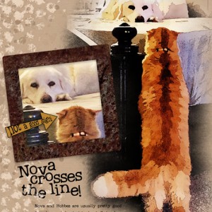 02-19_HobbesAndNova