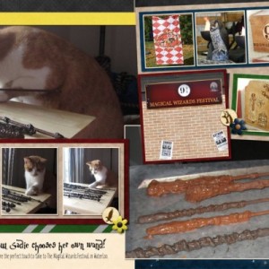 Sadie Chooses the Wand