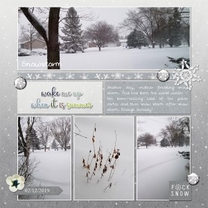 Snowstorm